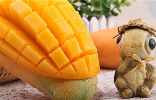 芒果好芒加盟