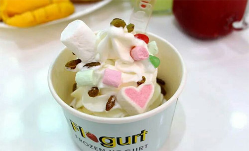 优格至尊酸奶冰淇淋加盟店