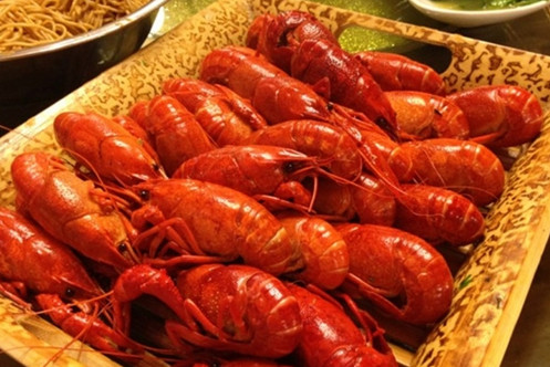 董记虾行天下加盟