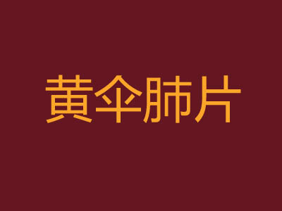 黄伞肺片