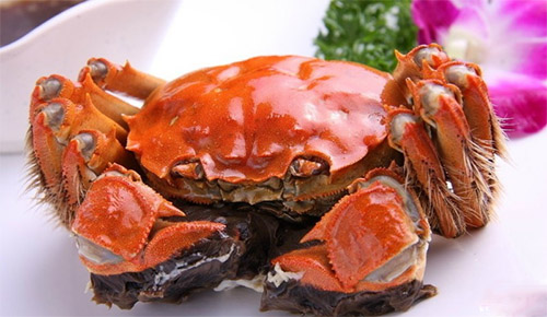 阳澄湖牌大闸蟹加盟