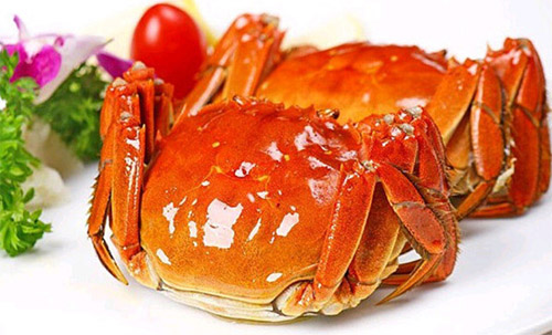 阳澄湖牌大闸蟹加盟