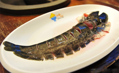 咕嘟草帽鱼加盟