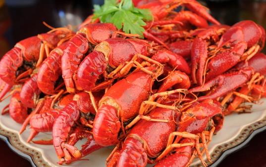 巴厘龙虾加盟
