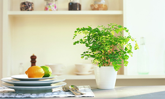 你可居家居饰品加盟