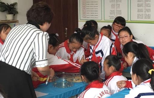 金八力作文加盟