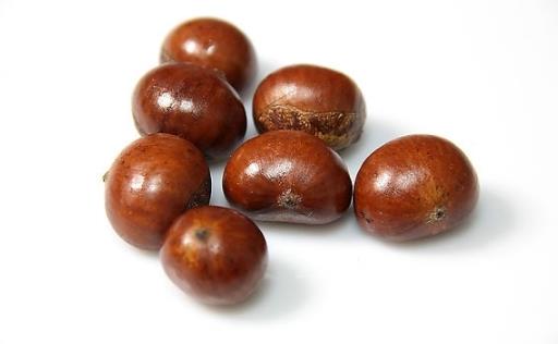 小有天栗栗香加盟