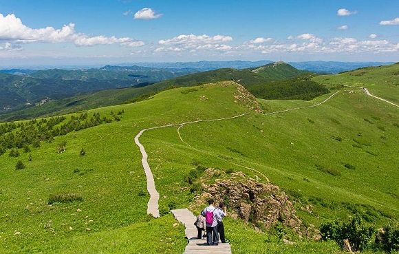 【旅行社加盟费】旅行社加盟要多少钱？