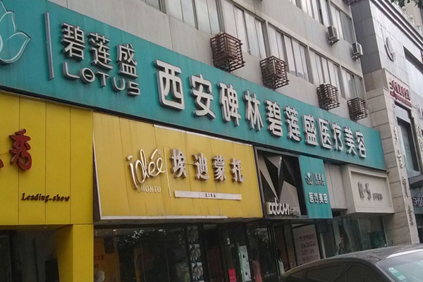 碧莲盛加盟店