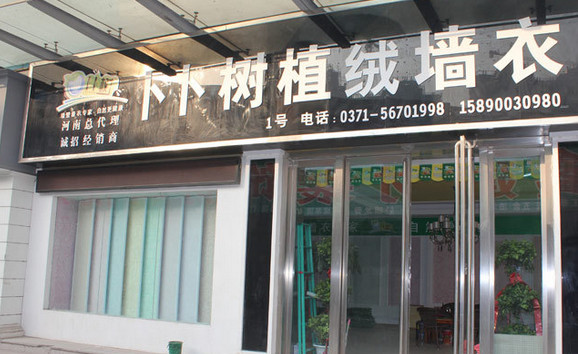 卜卜树墙衣加盟店