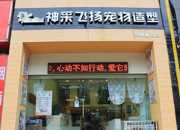 神采飞扬宠物造型店