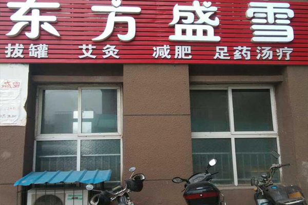 东方盛雪加盟费