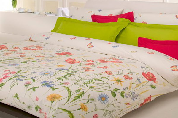 文艺复兴加盟店