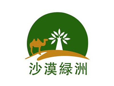 沙漠绿洲地板