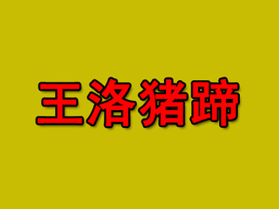 王洛猪蹄加盟费