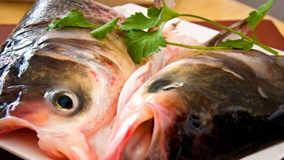 谭鱼头火锅店加盟