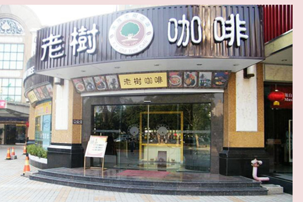 老树咖啡加盟店