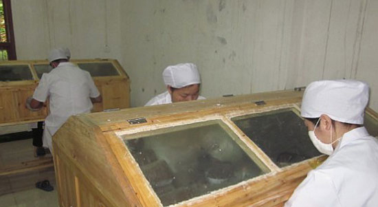 癞蛤蟆养殖加盟