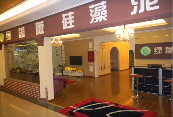 绿蔷薇硅藻泥加盟店