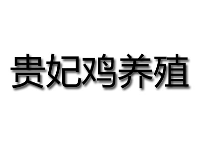 贵妃鸡养殖