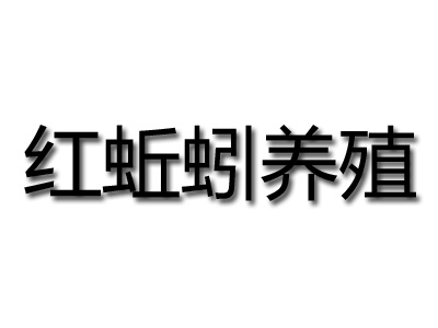 红蚯蚓养殖加盟费
