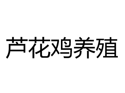 芦花鸡养殖