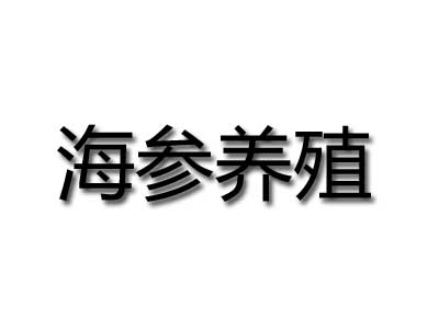 海参养殖