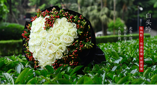 维纳斯鲜花加盟费