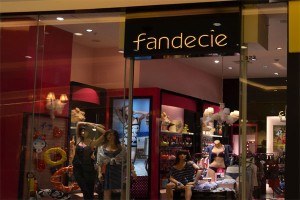 芬狄诗加盟店型