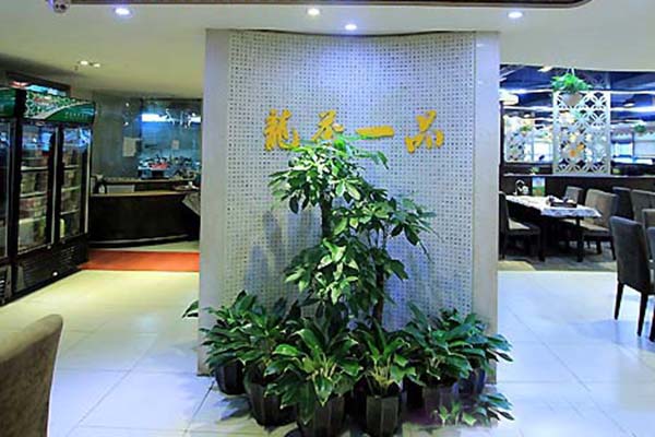 龙茶一品点心茶楼加盟