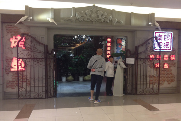 南锣肥猫烤鱼加盟费