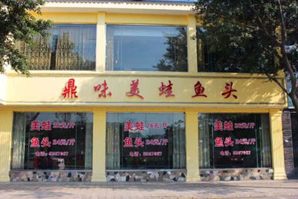 鼎味美蛙鱼头加盟