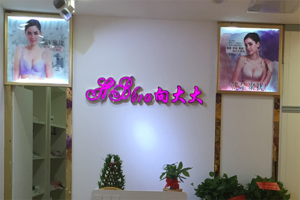 向大大内衣加盟费