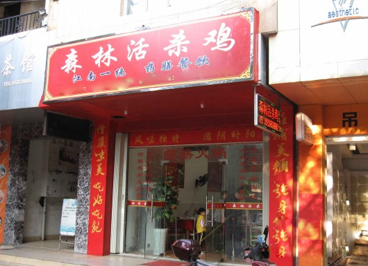 森林活杀鸡加盟