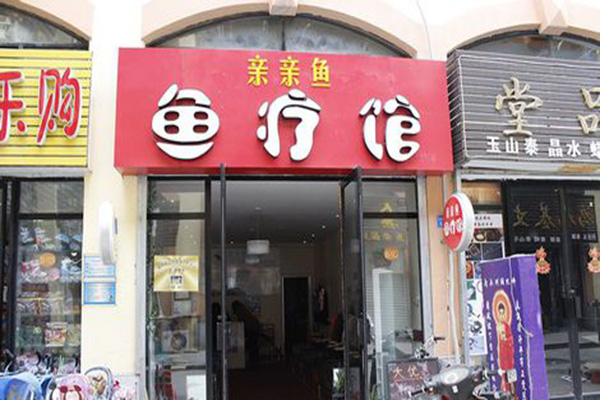 亲亲鱼加盟店