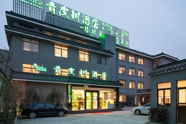 青皮树酒店加盟费