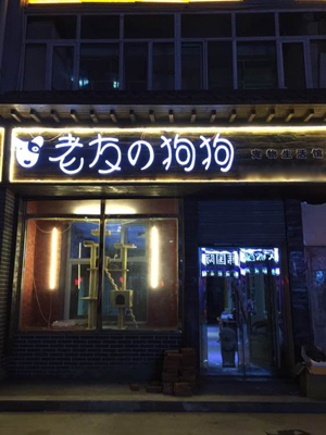 老友狗狗宠物店加盟