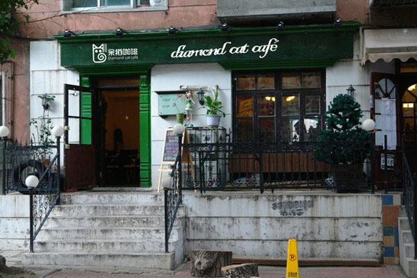 呆猫咖啡加盟店