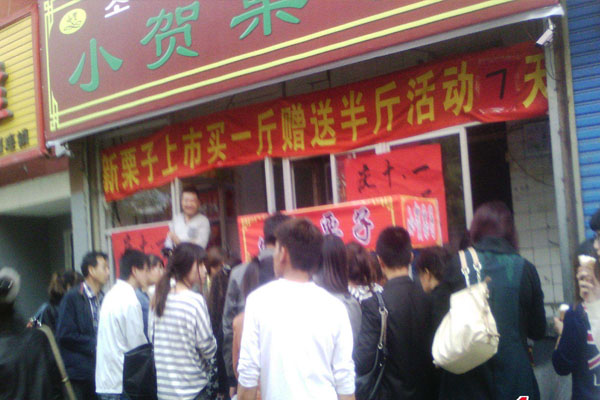 小贺栗子加盟费