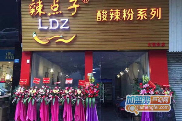 辣点子酸辣粉加盟店