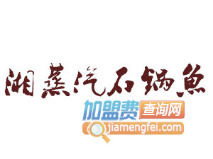 湘蒸汽石锅鱼