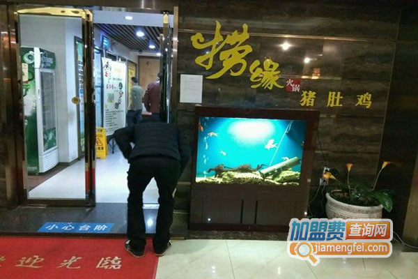 捞缘猪肚鸡火锅加盟店