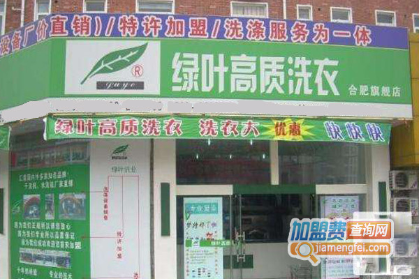 绿叶洗衣加盟费