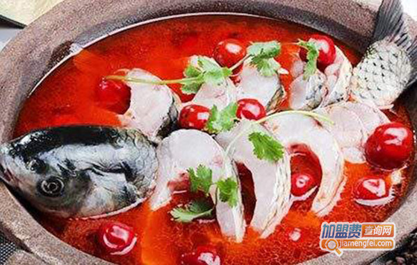 咕噜啵啵鱼加盟