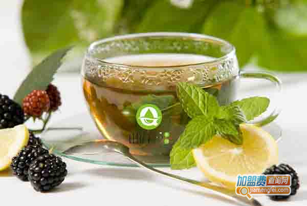 曲岸茶饮加盟门店