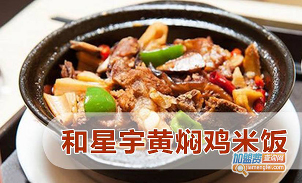和星宇黄焖鸡米饭加盟门店
