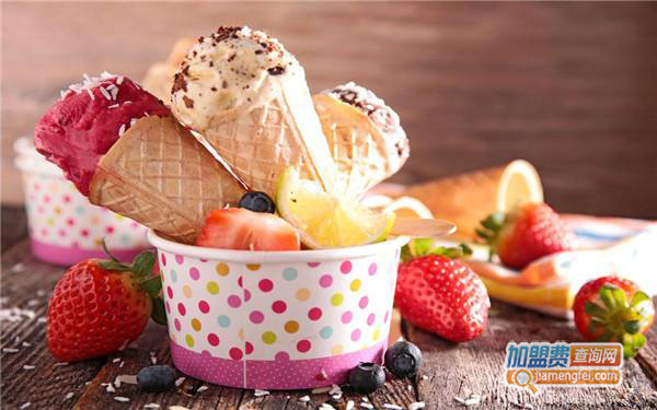 辛巴客冰淇淋加盟门店