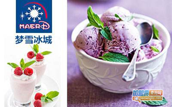 梦雪冰城冰淇淋加盟门店