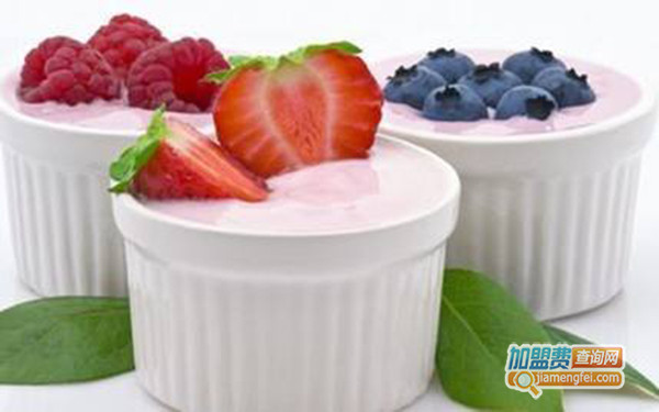 美客意式手工冰淇淋加盟门店