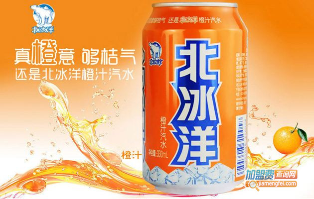 北冰洋饮料加盟费